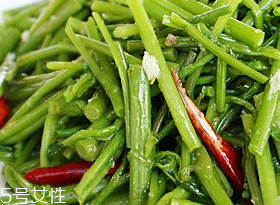 刺五加的適宜人群 刺五加適合哪些人？