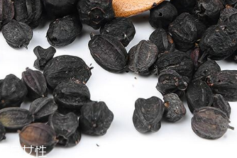 刺五加的適宜人群 刺五加適合哪些人？