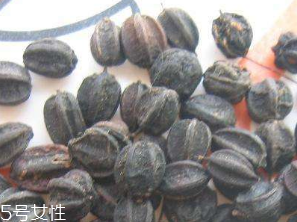 刺五加的食用方法 刺五加怎么吃？