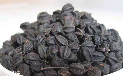 刺五加對肝病有好處嗎？