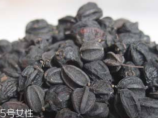 刺五加的繁殖方法 刺五加怎么種植 刺五加的繁殖方法 刺五加怎么種植