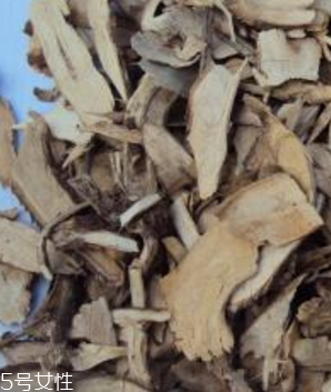 刺五加片的價格 刺五加片多少錢一斤？