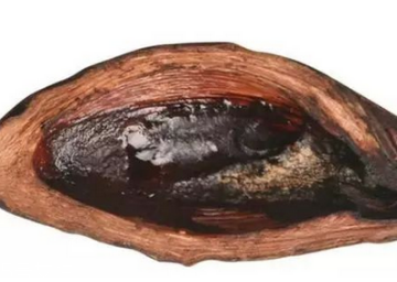 一個(gè)檳榔等于幾根煙？一個(gè)檳榔嚼多久