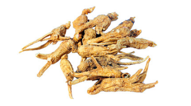 西洋參是哪里產(chǎn)的？長白山為主要產(chǎn)地