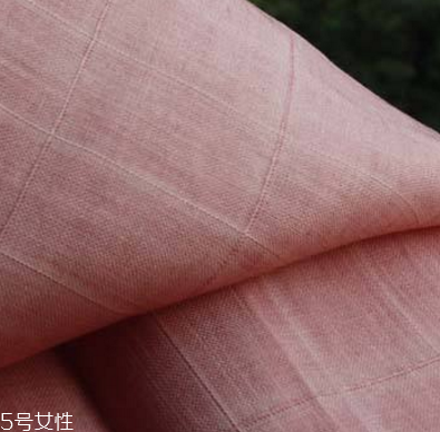 苧麻和棉麻哪個(gè)好 原來(lái)區(qū)別這么大