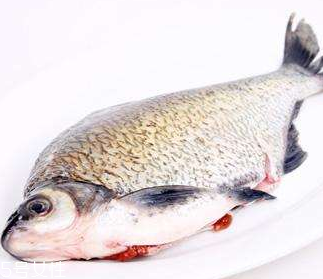 鳊魚是什么魚 鳊魚是淡水魚 鳊魚是什么魚 鳊魚是淡水魚