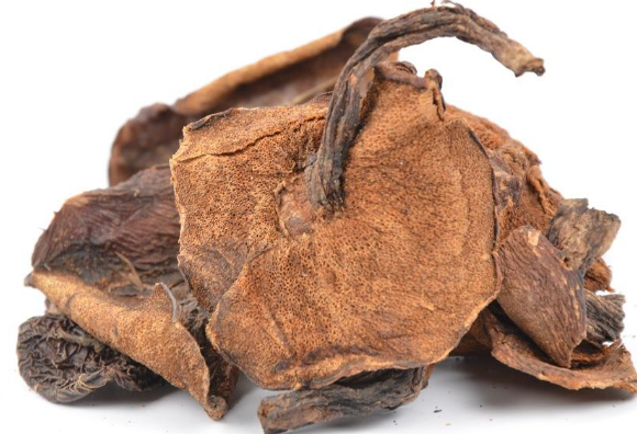 松蘑是什么 松蘑是蘑菇嗎 松蘑是什么 松蘑是蘑菇嗎