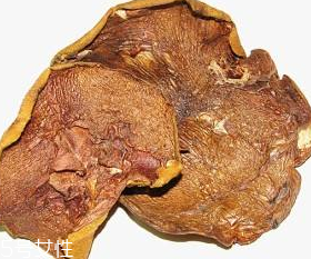 松蘑怎么泡發(fā)才會(huì)更干凈 松蘑怎么泡發(fā)才會(huì)更干凈