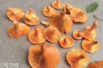 松蘑怎么泡發(fā)才會(huì)更干凈 松蘑怎么泡發(fā)才會(huì)更干凈