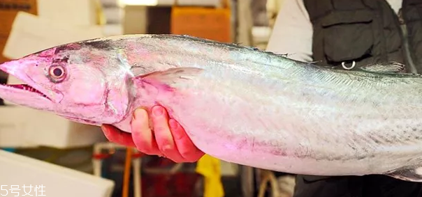 鲅魚怎么做好吃 鲅魚的多種常見做法 鲅魚怎么做好吃 鲅魚的多種常見做法