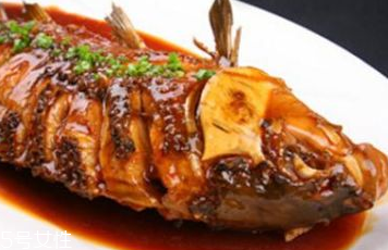 鲅魚怎么釣才最快速 釣鲅魚的六大步驟 鲅魚怎么釣才最快速 釣鲅魚的六大步驟