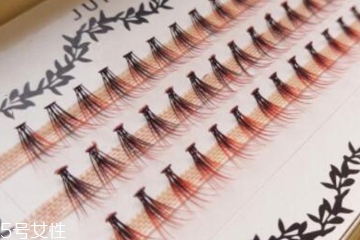 假睫毛形狀有幾種 第2種宛如真睫毛 假睫毛形狀有幾種 第2種宛如真睫毛