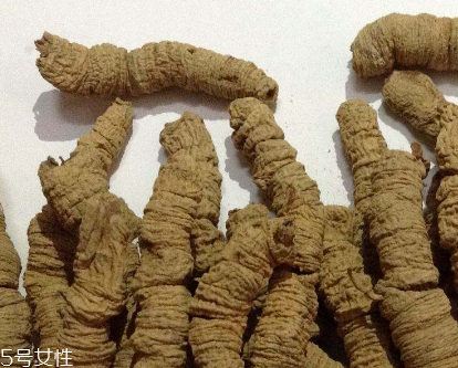 巴戟天是什么 茜草科植物巴戟天 巴戟天是什么 茜草科植物巴戟天