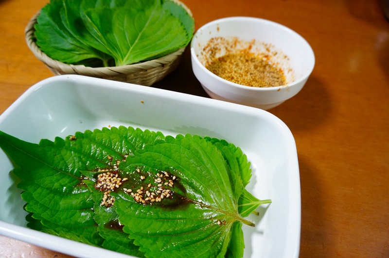 芝麻葉怎么吃 芝麻葉能吃且好吃 芝麻葉怎么吃 芝麻葉能吃且好吃