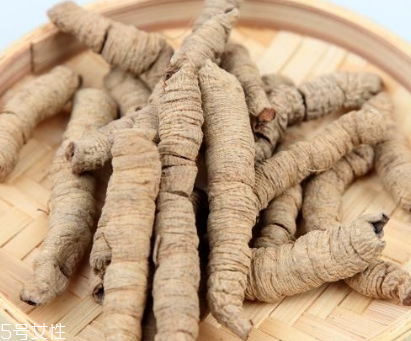 巴戟天和什么一起煲湯 巴戟天羊肉煲湯 巴戟天和什么一起煲湯 巴戟天羊肉煲湯