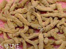 巴戟天和巴戟的區(qū)別 同一物種 巴戟天和巴戟的區(qū)別 同一物種