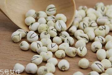 川貝母的來源 川貝母來源四川 川貝母的來源 川貝母來源四川