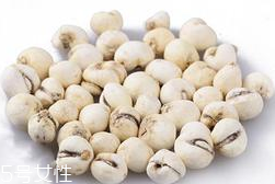 川貝母的來源 川貝母來源四川 川貝母的來源 川貝母來源四川