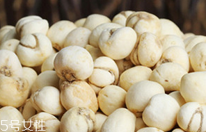 川貝母的來源 川貝母來源四川 川貝母的來源 川貝母來源四川