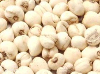 川貝母的功效和作用 潤肺止咳化痰平喘 川貝母的功效和作用 潤肺止咳化痰平喘