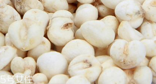 川貝母和浙貝母的區(qū)別 產(chǎn)地功效不同 川貝母和浙貝母的區(qū)別 產(chǎn)地功效不同