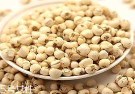 川貝母和松貝母是一樣的嗎 是一樣的 川貝母和松貝母是一樣的嗎 是一樣的