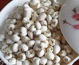 川貝母的營(yíng)養(yǎng)價(jià)值 止咳化痰 川貝母的營(yíng)養(yǎng)價(jià)值 止咳化痰