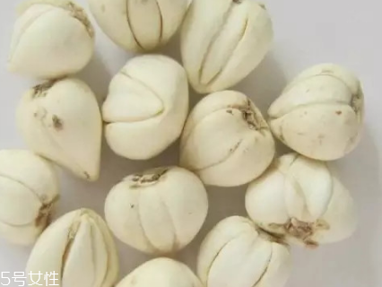 川貝母能給孕婦吃嗎 降壓作用 川貝母能給孕婦吃嗎 降壓作用