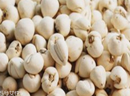 川貝母的營(yíng)養(yǎng)成分 多種營(yíng)養(yǎng)成分 川貝母的營(yíng)養(yǎng)成分 多種營(yíng)養(yǎng)成分