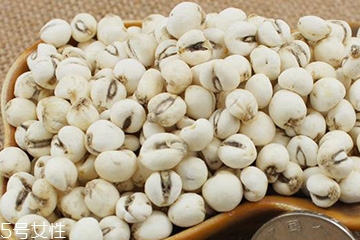 川貝母的營(yíng)養(yǎng)成分 多種營(yíng)養(yǎng)成分 川貝母的營(yíng)養(yǎng)成分 多種營(yíng)養(yǎng)成分