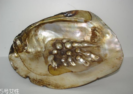 珍珠粉過期了還能用嗎 這樣用變廢為寶 珍珠粉過期了還能用嗎 這樣用變廢為寶