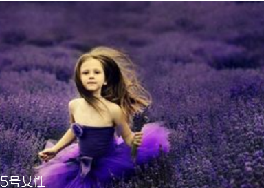 玫瑰精油能天天用嗎 玫瑰精油最佳使用頻率 玫瑰精油能天天用嗎 玫瑰精油最佳使用頻率