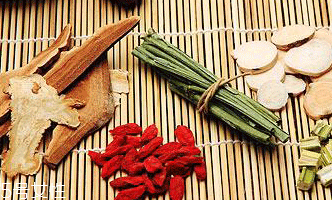 益母草的食用禁忌 含有微毒 益母草的食用禁忌 含有微毒