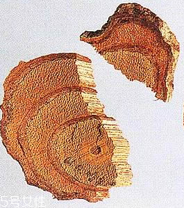 雞血藤和當歸能一起吃嗎 同吃調(diào)整月經(jīng)不調(diào) 雞血藤和當歸能一起吃嗎 同吃調(diào)整月經(jīng)不調(diào)