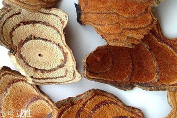 雞血藤和雞矢藤是一樣的嗎 它們不一樣 雞血藤和雞矢藤是一樣的嗎 它們不一樣