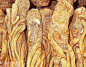 雞血藤和雞矢藤是一樣的嗎 它們不一樣 雞血藤和雞矢藤是一樣的嗎 它們不一樣