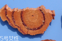 雞血藤的功效和作用 多種功效 雞血藤的功效和作用 多種功效