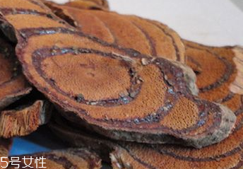 雞血藤是中藥嗎 名貴中藥 雞血藤是中藥嗎 名貴中藥