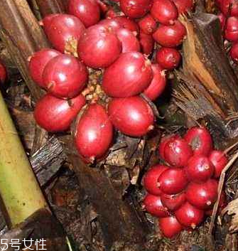 草果是什么做的 草果是果實(shí) 草果是什么做的 草果是果實(shí)