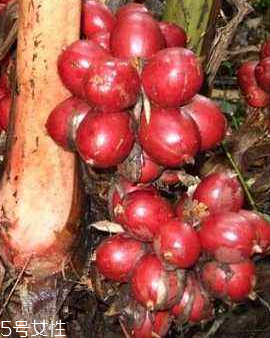 草果是什么做的 草果是果實(shí) 草果是什么做的 草果是果實(shí)