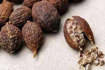 草果是水果嗎 草果不是水果 草果是水果嗎 草果不是水果