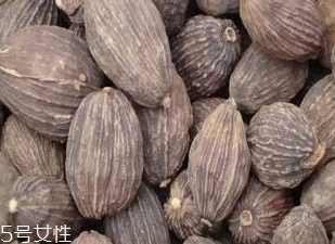 草果是水果嗎 草果不是水果 草果是水果嗎 草果不是水果