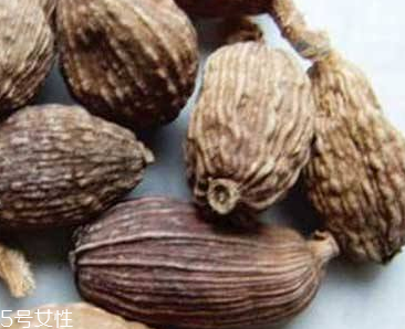 草果是熱性還是涼性的食物 草果是熱性還是涼性的食物