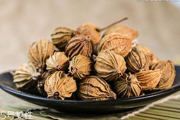 草果是不是罌粟 它們不一樣 草果是不是罌粟 它們不一樣