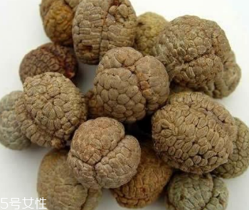 草果是不是罌粟 它們不一樣 草果是不是罌粟 它們不一樣