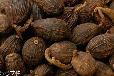 草果治療口臭嗎 有很好的療效 草果治療口臭嗎 有很好的療效