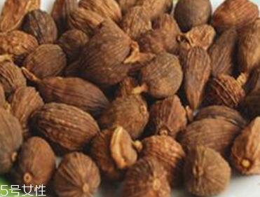 草果和砂仁可以同吃嗎 治療肚脹 草果和砂仁可以同吃嗎 治療肚脹