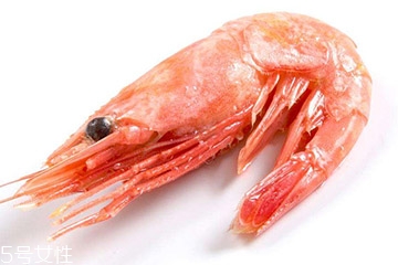 北極蝦是北極的嗎 北極蝦產自北極