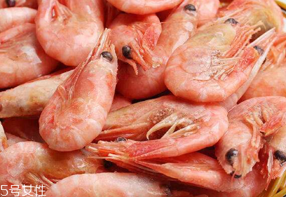 北極蝦是北極的嗎 北極蝦產自北極