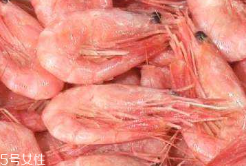 北極蝦怎么吃 五大食用方法 北極蝦怎么吃 五大食用方法